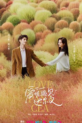 莆田seo排名收费多少